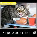 ���� Sakhalin, ���������, 42 ���� - ��������� 9 ������� 2015 � ������ ���� ���� ������