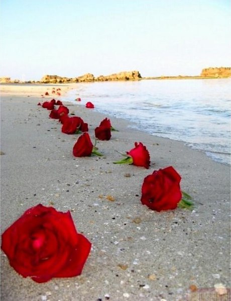     !      .     ,     ...