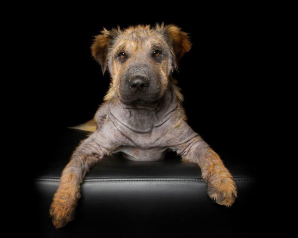  .#animal@travel.blog - 8