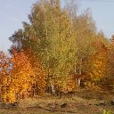 ���� Andrey, �������, 58 ��� - ��������� 1 ���� 2015 � ������ ���Ż