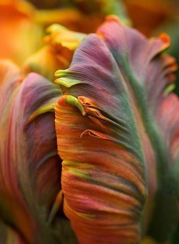 Чудеса в жизни случаются! Просто они происходят не по волшебству. Люди сами делают их, например, для ... - 2