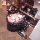 ���� ����, ������, 53 ���� - ��������� 20 ���� 2015 � ������ ���� ����������