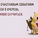 ���� �������, �����������, 66 ��� - ��������� 11 ���� 2015 � ������ ���� ����������