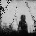 ���� S N O W, ������ - ��������� 13 �������� 2015 � ������ ���� ����������