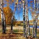 ���� �����, ����-������� - ��������� 1 �������� 2015 � ������ ������ ��������