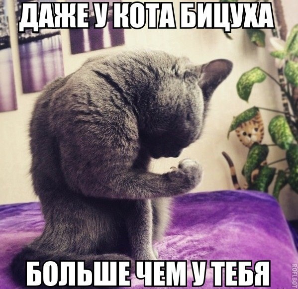       - 13  2015  21:04