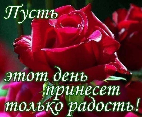 https://fotostrana.ru/away?to=/sl/aEZ2