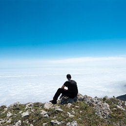 �����, ������, 36 ���