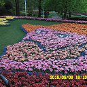 V parke cvitov s mamai i majei malinkai Princesai :) 
&quot;Keukenhof Holland&quot;   Keukenhof 2015