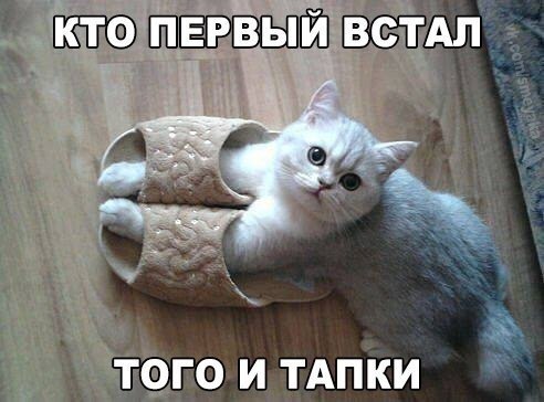       - 10  2015  16:33