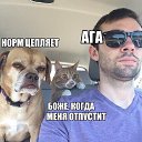 ���� ����, ���������, 42 ���� - ��������� 10 ������� 2015 � ������ �����������