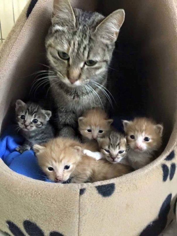 :3 - 4