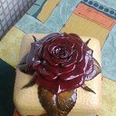 ���� ��������, ��������, 52 ���� - ��������� 16 ���� 2015 � ������ ���� �������