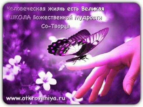 Татьяна Королевич.ПУТЬКак в дороге не упастьИ не оступиться?В буднях жизни не пропастьИ не ...