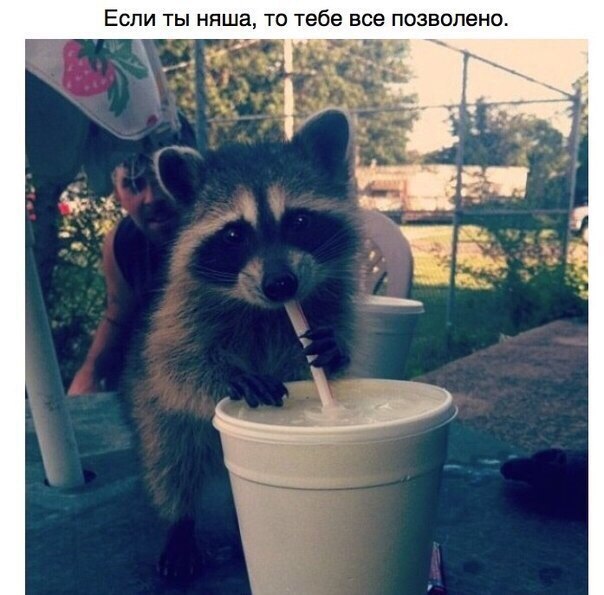 ����� � ��� ����� ����, ������ ������ � �����. �������, ��� � � ������������, � ��� ���� ���� ... - 8