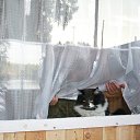  , -, 54  -  12  2015   