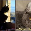 �����... ����� ��� � �����:)) �� ������� ������- ����...�