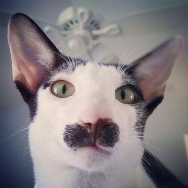 .   :3 - 3