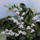 ���� ����, ������ - ��������� 17 ��� 2015 � ������ ������!�