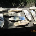  , -, 63  -  26  2015   Ȼ