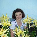 ���� �������, �������, 55 ��� - ��������� 17 ���� 2015 � ������ ���� ����������