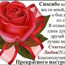 ���� �������, ����� - ��������� 1 ������� 2015 � ������ ������ ��������