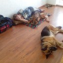 ����� ������� �� ������� �������