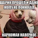 ���� ������, ������, 55 ��� - ��������� 27 ��� 2015 � ������ ���� ����������