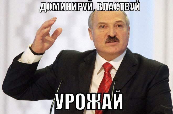   - 1  2015  14:43