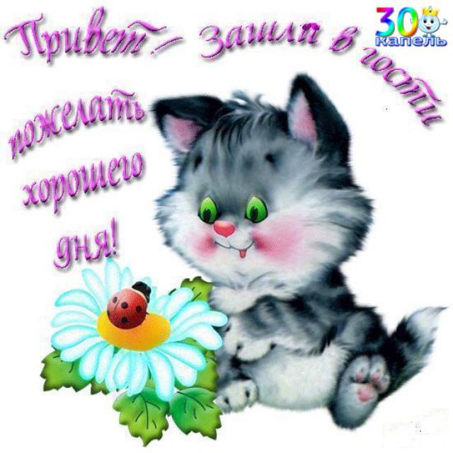  - 21  2015  00:22
