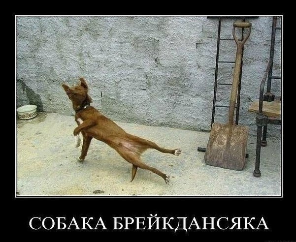  ... - 5