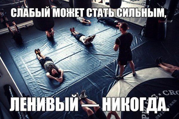    ! - 29  2015  02:20