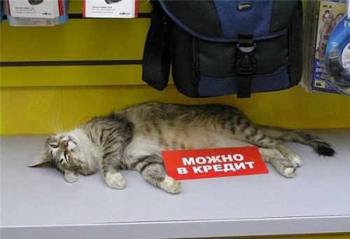 =)