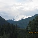  Svetlaja,  -  9  2015    2015