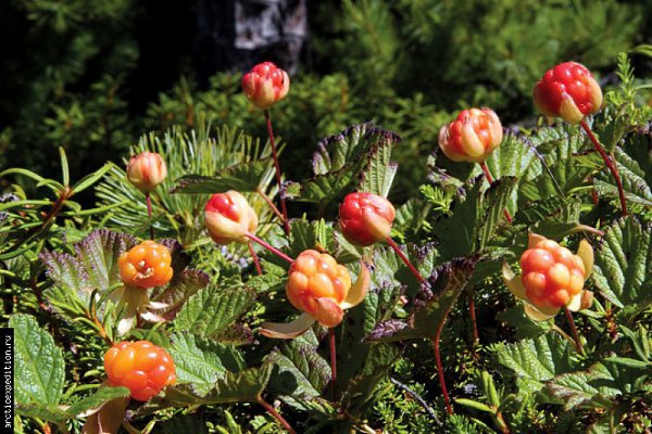  . .  ,  .   .   ... - 3