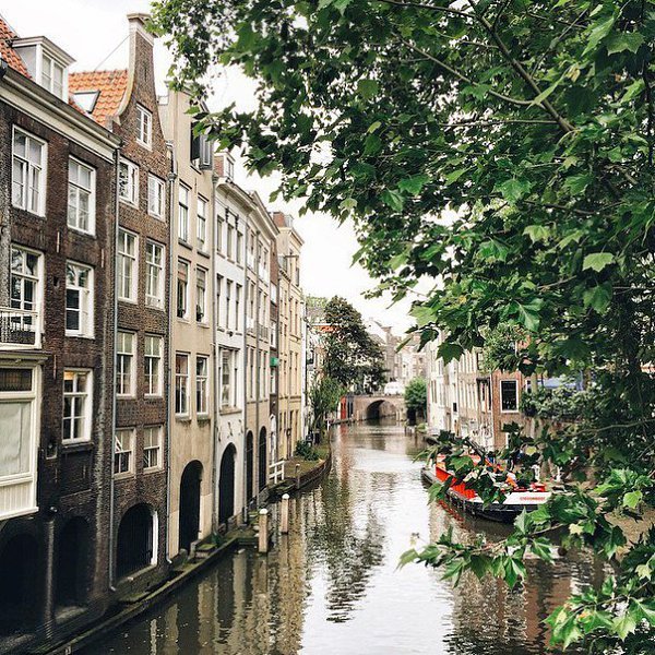 Summer in Amsterdam, The Netherlands. - 3