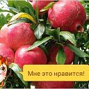 ���� ������, ���������, 49 ��� - ��������� 20 ���� 2015 � ������ �����