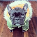  , --, 52  -  21  2015    .