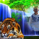 ���� �������, ��������, 49 ��� - ��������� 15 �������� 2015 � ������ ���� ����������