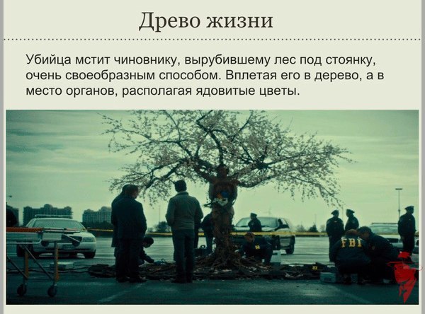 Самые необычные убийства из сериала