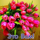 ���� �������, ������, 66 ��� - ��������� 9 ��� 2015 � ������ �������� ��������