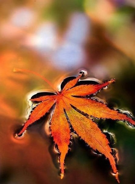 Чудеса в жизни случаются! Просто они происходят не по волшебству. Люди сами делают их, например, для ... - 4