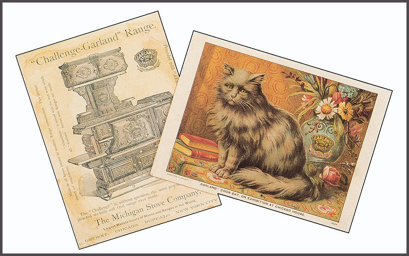 Cat in Old Ilustratives /     - 8