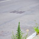 ���� Yuri, �������, 54 ���� - ��������� 5 �������� 2015 � ������ �5.09.2015.����� ����� � ����������--> "�����������"--> ����-->7-�� ����---->��� ����� -24 �����