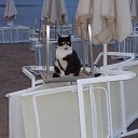 ������ ����� �� ������� �Marmaris�