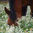 ���� Vladimip, �����������, 60 ��� - ��������� 29 ���� 2015 � ������ ������ ��������