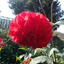 ������� ���������� �� ������� ������������ �������