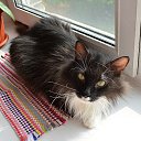 ������� ������ � ������ ����
89091661738 ����� �� ������� ���������