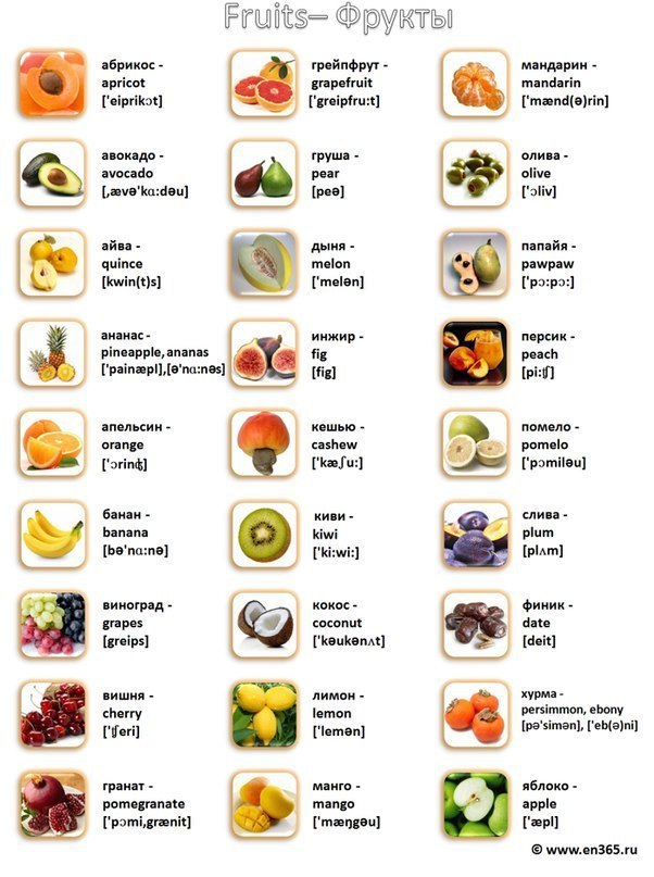 VISUAL CARDS.  -  -  -  - 8