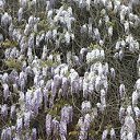 ���� �����, ����������� - ��������� 23 �������� 2015 � ������ ���� ����������